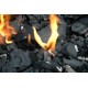 Balené, vrecovité uhlie pre automatické kotly 800 kg, čierne uhlie - ekologické hry, 10-25mm EXPOL
