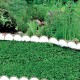 Plastový záhradný obrubník 10m, 90mm GARDEN LINE (rôzne farby)