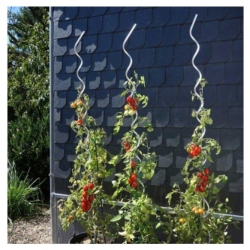 Špirálová paradajková tyč 1,8 m BRADAS Špirálová paradajková tyč 1,8 m BRADAS