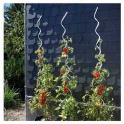 Paradajková tyč pozinkovaná 1,5 m / 6 mm