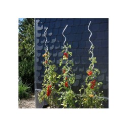 Paradajková tyč pozinkovaná 1,5 m / 6 mm Paradajková tyč pozinkovaná 1,5 m / 6 mm