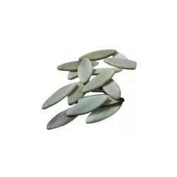 Spojovacie čepele pre FBJ-710, 56x23x4 mm, 50ks FERM