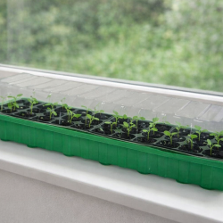 Mini skleník s vekom 24 sadeníc, 36x22x13cm