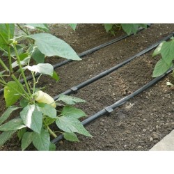 Zavlažovacia súprava s hadicou 50m WATER DRIP Zavlažovacia súprava s hadicou 50m WATER DRIP