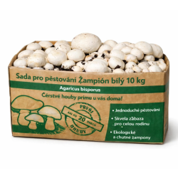Pestovateľská sada Šampiňón biely 10kg (Agaricus Bisporus)