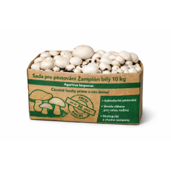 Pestovateľská sada Šampiňón biely 10kg (Agaricus Bisporus)
