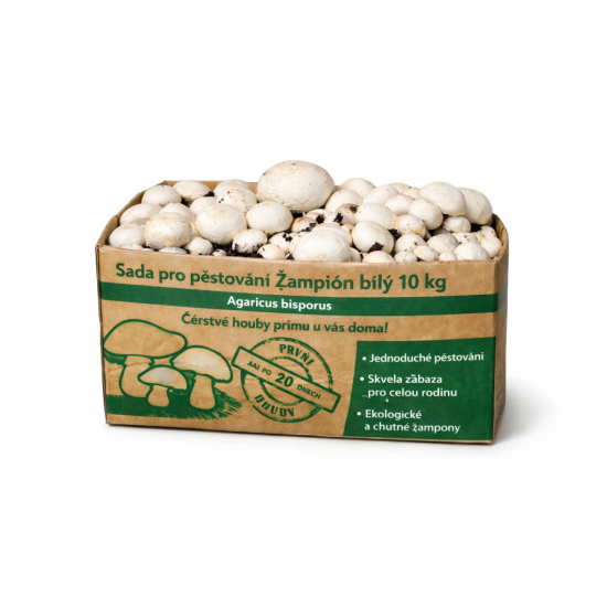 Pestovateľská sada Šampiňón biely 10kg (Agaricus Bisporus) Pestovateľská sada Šampiňón biely 10kg (Agaricus Bisporus)