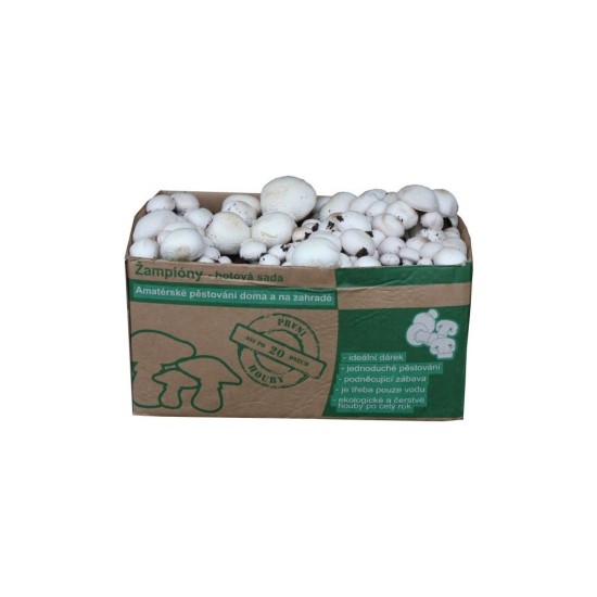 Pestovateľská sada Šampiňón biely 10kg (Agaricus Bisporus) Pestovateľská sada Šampiňón biely 10kg (Agaricus Bisporus)