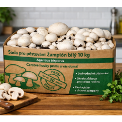 Pestovateľská sada Šampiňón biely 10kg (Agaricus Bisporus) Pestovateľská sada Šampiňón biely 10kg (Agaricus Bisporus)