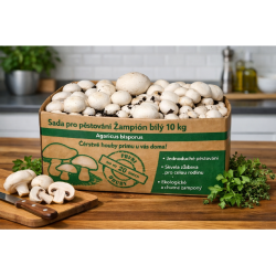 Pestovateľská sada Šampiňón biely 10kg (Agaricus Bisporus) Pestovateľská sada Šampiňón biely 10kg (Agaricus Bisporus)