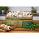 Pestovateľská sada Šampiňón biely 10kg (Agaricus Bisporus) Pestovateľská sada Šampiňón biely 10kg (Agaricus Bisporus)