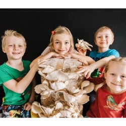 Zmes na pestovanie hlivy ustricovej 15 kg (Pleurotus ostreatus) Zmes na pestovanie hlivy ustricovej 15 kg (Pleurotus ostreatus)