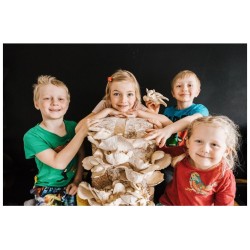 Zmes na pestovanie hlivy ustricovej 15 kg (Pleurotus ostreatus) Zmes na pestovanie hlivy ustricovej 15 kg (Pleurotus ostreatus)