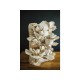 Zmes na pestovanie hlivy ustricovej 15 kg (Pleurotus ostreatus) Zmes na pestovanie hlivy ustricovej 15 kg (Pleurotus ostreatus)