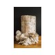 Zmes na pestovanie hlivy ustricovej 15 kg (Pleurotus ostreatus) Zmes na pestovanie hlivy ustricovej 15 kg (Pleurotus ostreatus)