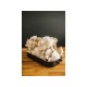 Zmes na pestovanie hlivy ustricovej 15 kg (Pleurotus ostreatus) Zmes na pestovanie hlivy ustricovej 15 kg (Pleurotus ostreatus)