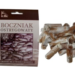 Hliva ustricová 20ks - mycélium na kolíkoch (Pleurotus ostreatus) Hliva ustricová 20ks - mycélium na kolíkoch (Pleurotus ostreatus)