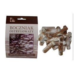 Hliva ustricová 20ks - mycélium na kolíkoch (Pleurotus ostreatus) Hliva ustricová 20ks - mycélium na kolíkoch (Pleurotus ostreatus)