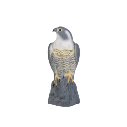 Sokol - strašiak vtákov a hlodavcov