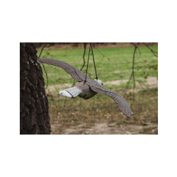 Lietajúci sokol - strašiak vtákov a hlodavcov