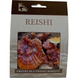 REISHI 20ks - mycélium na kolíkoch REISHI 20ks - mycélium na kolíkoch