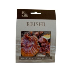 REISHI 20ks - mycélium na kolíkoch
