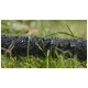 Záhradná zavlažovacia odkvapkávacia hadica 50m 1/2" AQUA-DROP Záhradná zavlažovacia odkvapkávacia hadica 50m 1/2" AQUA-DROP