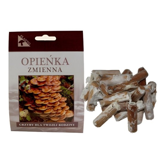 Mutabilis (Kuehneromyces mutabilis) 20 ks - mycélium na kolíkoch Mutabilis (Kuehneromyces mutabilis) 20 ks - mycélium na kolíkoch