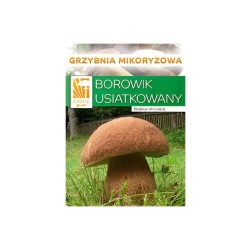 Dubový hríb (Boletus reticulatus) - mykorhízne mycélium Dubový hríb (Boletus reticulatus) - mykorhízne mycélium