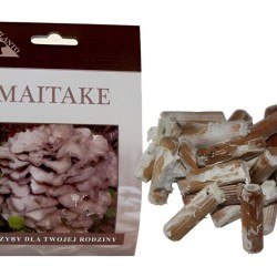 Huba maitake (Grifola frondosa) 20 ks - mycélium na kolíkoch