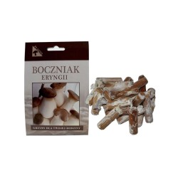 Mak (Pleurotus eryngii) 20 ks - mycélium na kolíkoch