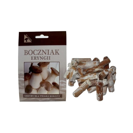 Mak (Pleurotus eryngii) 20 ks - mycélium na kolíkoch Mak (Pleurotus eryngii) 20 ks - mycélium na kolíkoch