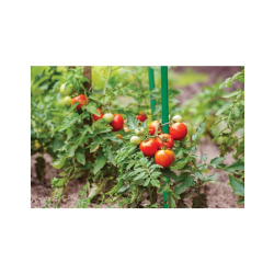 Oceľová záhradná tyč 1,6 x 210 cm Oceľová záhradná tyč 1,6 x 210 cm