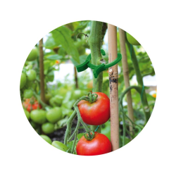 Klip na pripevnenie rastlín, 45ks, 3 veľkosti Klip na pripevnenie rastlín, 45ks, 3 veľkosti