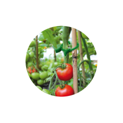 Klip na pripevnenie rastlín, 45ks, 3 veľkosti Klip na pripevnenie rastlín, 45ks, 3 veľkosti