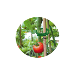 Krúžky na pripevnenie rastlín, 50ks, 1 rozmer