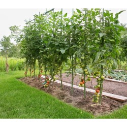 Oceľová záhradná tyč 1,6 x 150 cm