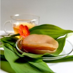 Kombucha - čajová huba