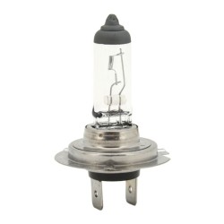 H7 55W PX26d box COMPASS žiarovka