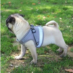 Postroj pre psov a mačky s vodítkom, obvod 30-36cm Postroj pre psov a mačky s vodítkom, obvod 30-36cm