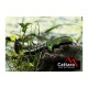 Zatvárací nôž JUNGLE 21.7cm CATTARA Zatvárací nôž JUNGLE 21.7cm CATTARA