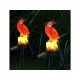 LED solárne dekoratívne záhradné svietidlo Parrot ARA LED solárne dekoratívne záhradné svietidlo Parrot ARA