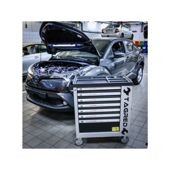 Dielenská mobilná skrinka, 7 zásuviek, sada náradia 251ks TAGRED