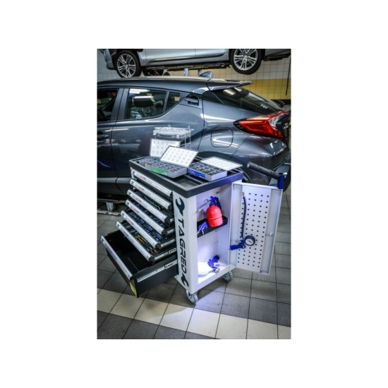 Dielenská mobilná skrinka, 7 zásuviek, sada náradia 251ks TAGRED