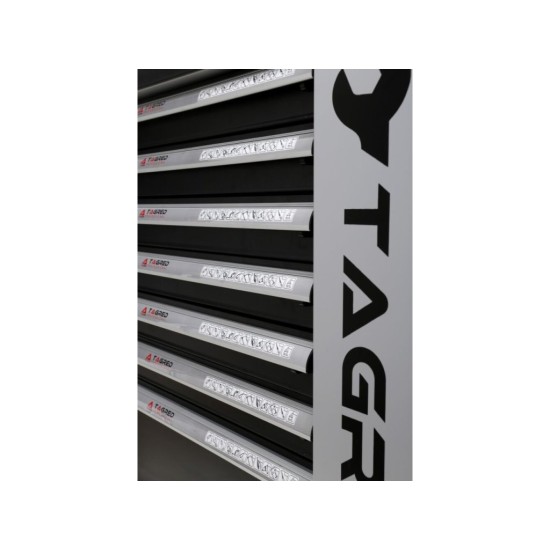 Dielenská mobilná skrinka, 7 zásuviek, sada náradia 251ks TAGRED