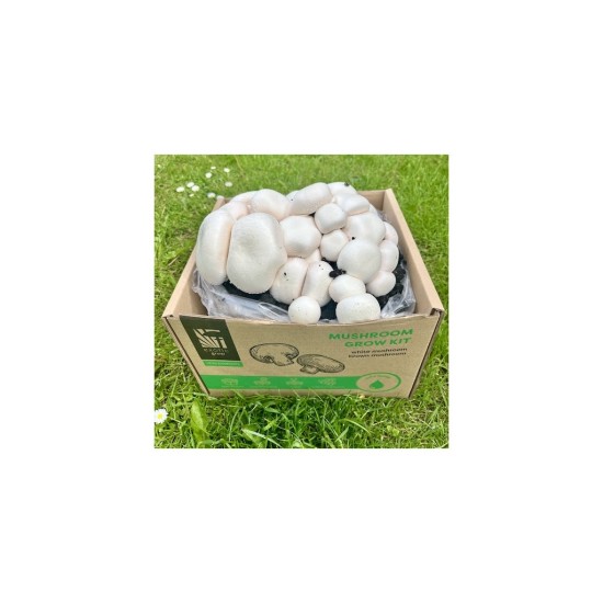 Pestovateľská sada Šampiňóny biele 15l (Agaricus Bisporus)