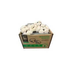 Pestovateľská sada Šampiňóny biele 15l (Agaricus Bisporus) Pestovateľská sada Šampiňóny biele 15l (Agaricus Bisporus)