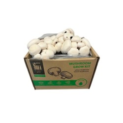 Pestovateľská sada Šampiňóny biele 15l (Agaricus Bisporus)
