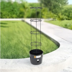 Plastový kvetináč 28l na pestovanie paradajok PESTOVATEĽ PARADAJOK