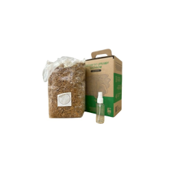 Hliva ustricová 6l (Pleurotus ostreatus) SÚPRAVA NA PESTOVANIE HÚB Hliva ustricová 6l (Pleurotus ostreatus) SÚPRAVA NA PESTOVANIE HÚB